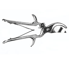 CONSTABLE RIB SHEARS